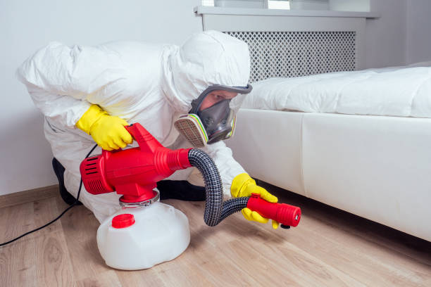 Best Pest Removal Services  in Park Ridge, NJ