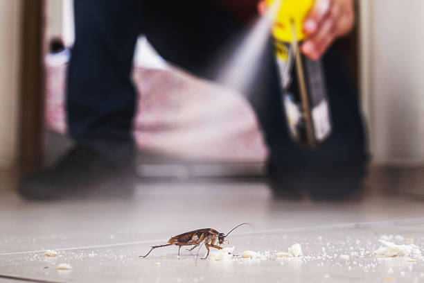 Best Exterminator Services  in Park Ridge, NJ